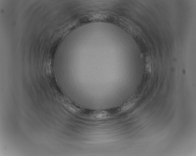 X0000077290514200611101346