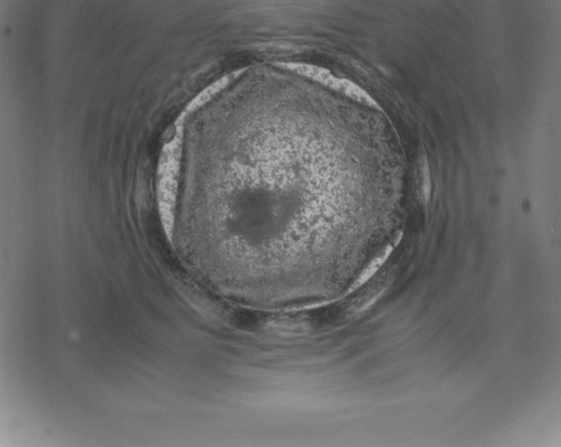 X0000077290515200611101346