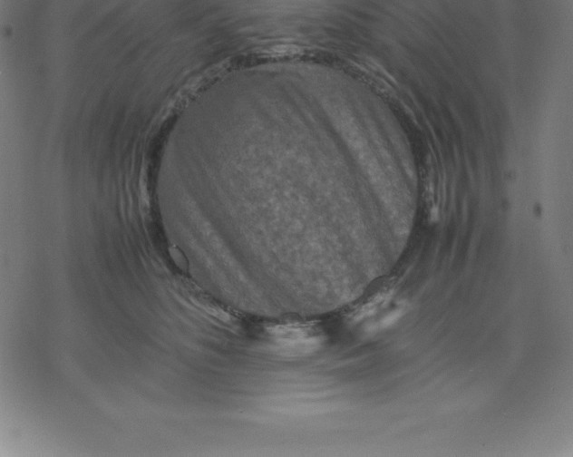 X0000077290516200611101346