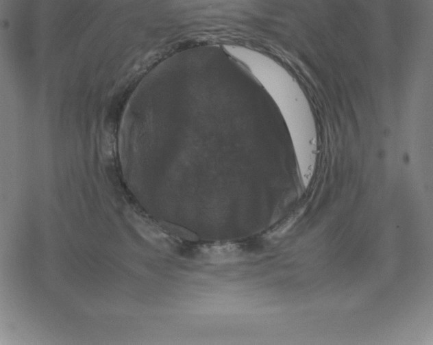 X0000077290517200611101346