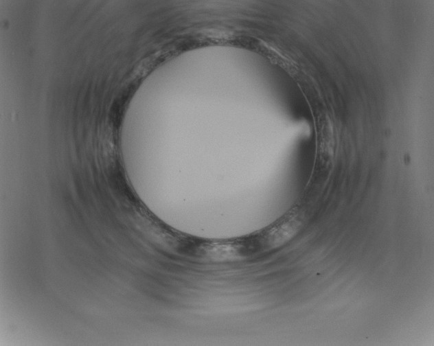 X0000077290518200611101346