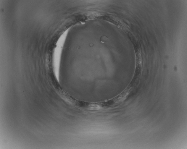 X0000077290519200611101346