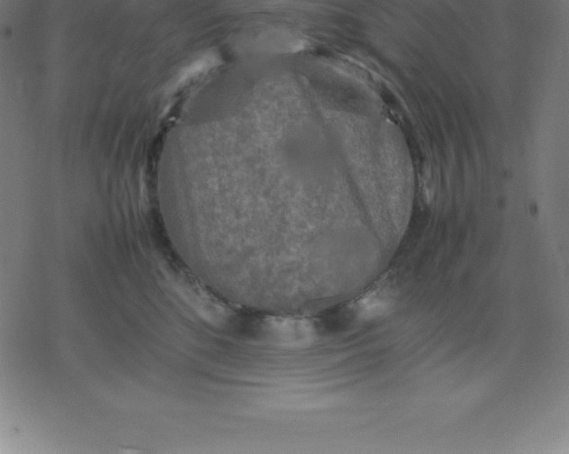 X0000077290520200611101346