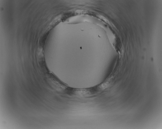 X0000077290521200611101346