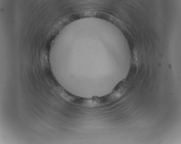 X0000077290522200611101346