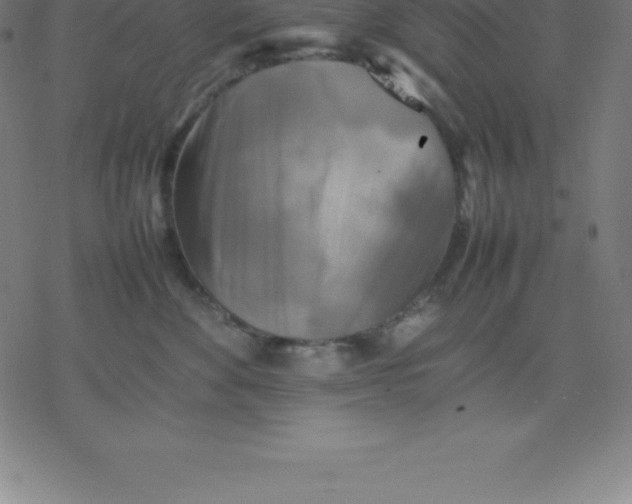 X0000077290524200611101346