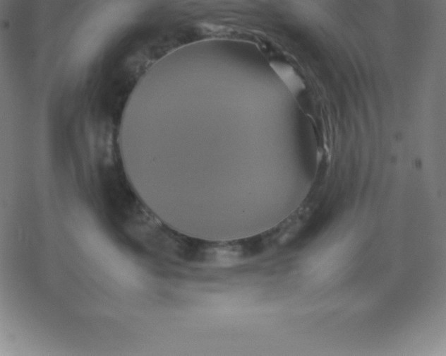 X0000077290525200611101346