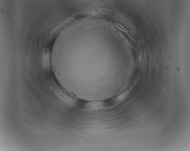 X0000077290526200611101346