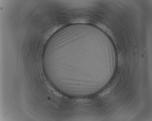 X0000077290529200611101345