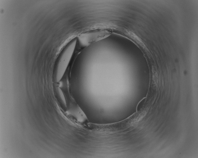 X0000077290530200611101345