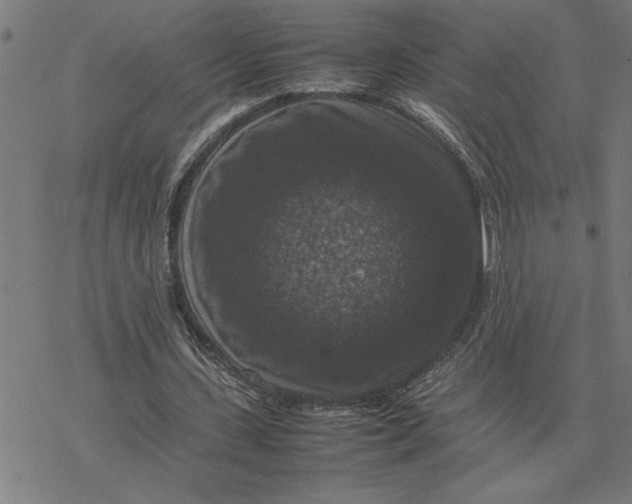 X0000077290531200611101345