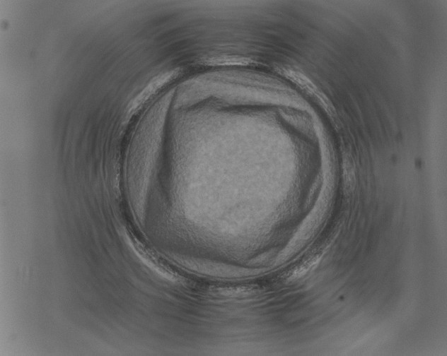 X0000077290533200611101345