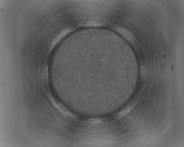 X0000077290534200611101345