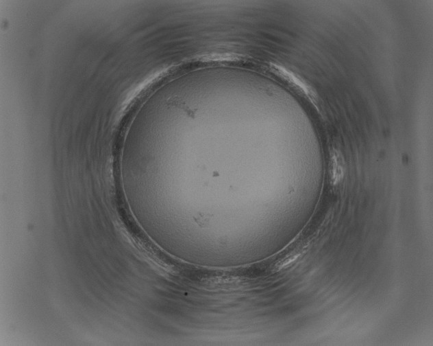 X0000077290535200611101345