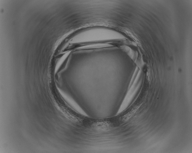 X0000077290536200611101345