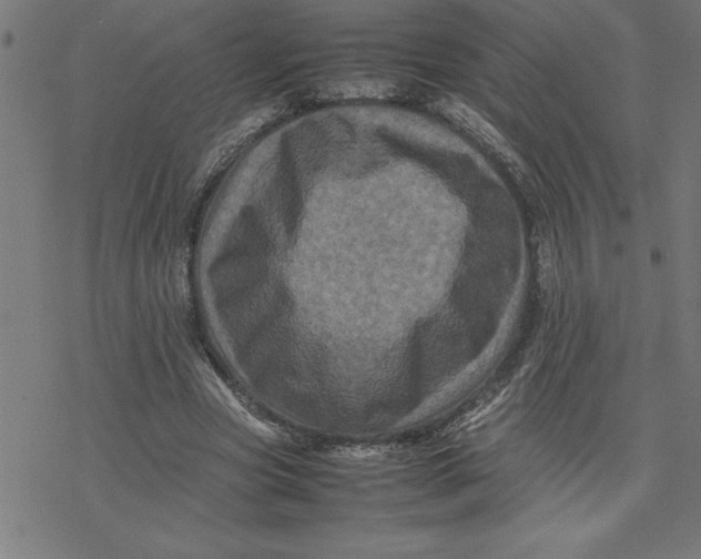 X0000077290537200611101345