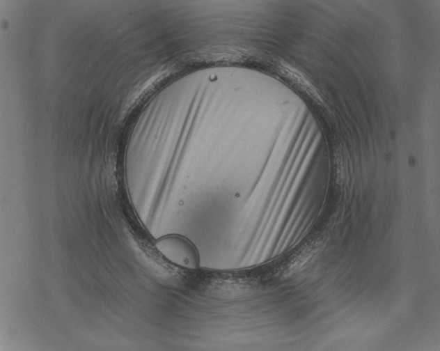 X0000077290538200611101345