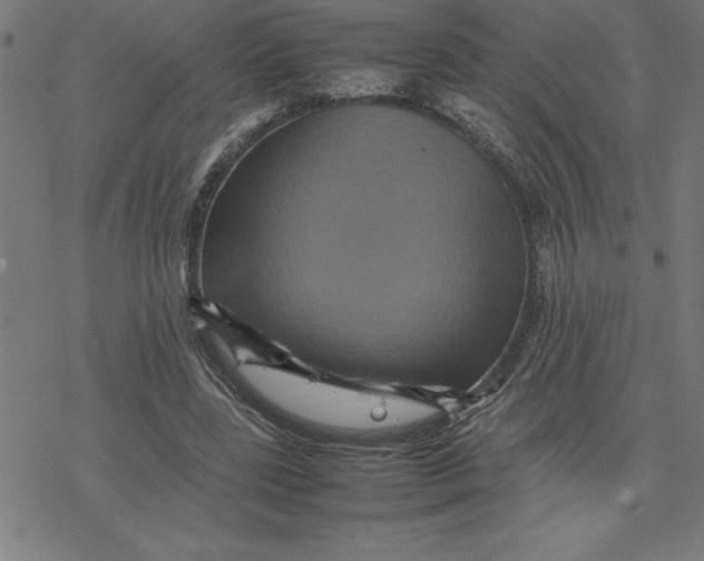 X0000077290539200611101345