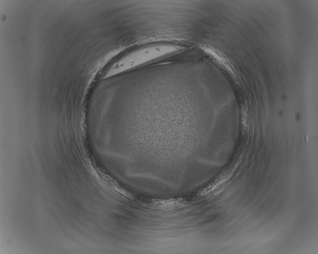 X0000077290540200611101345