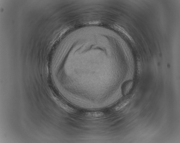 X0000077290541200611101345