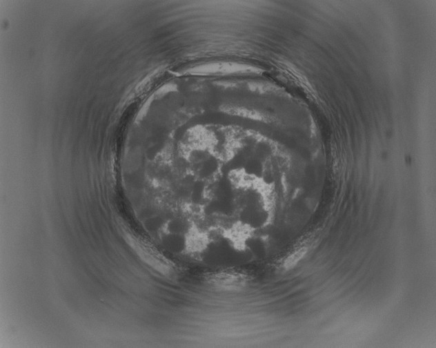 X0000077290542200611101345