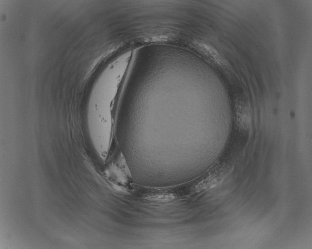 X0000077290543200611101345