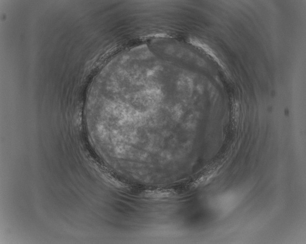 X0000077290545200611101345