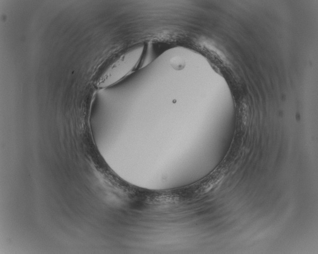 X0000077290546200611101345