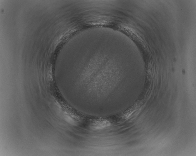 X0000077290547200611101345