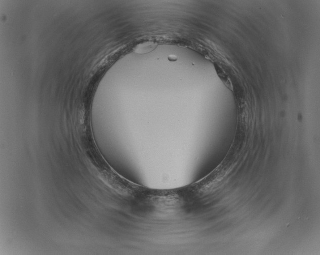 X0000077290548200611101345