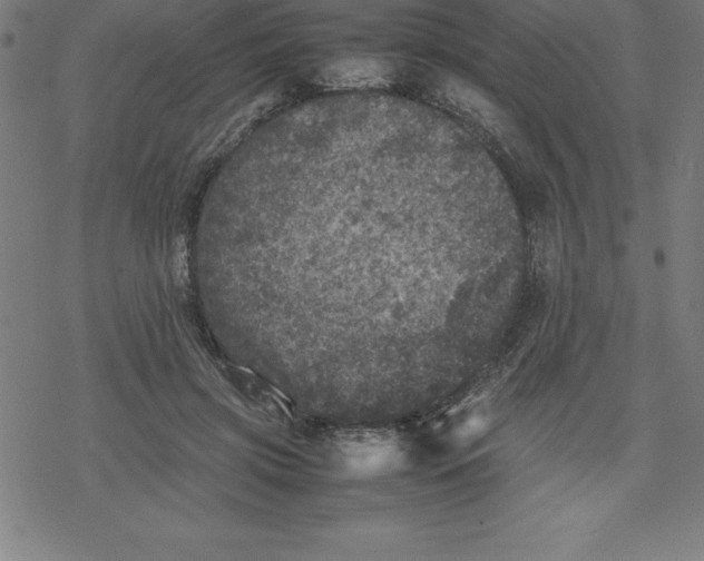 X0000077290549200611101345