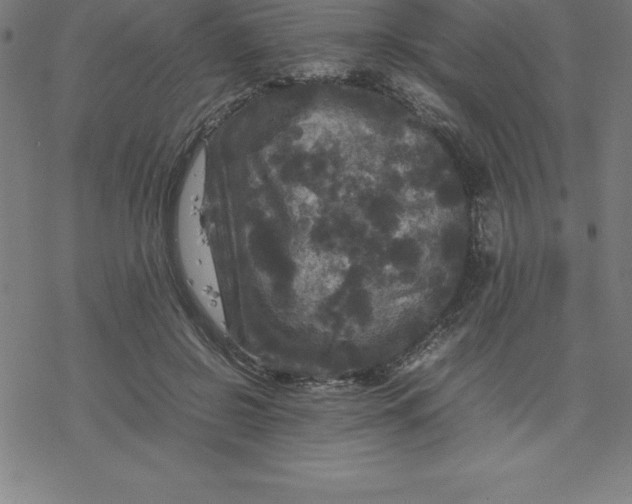 X0000077290550200611101345