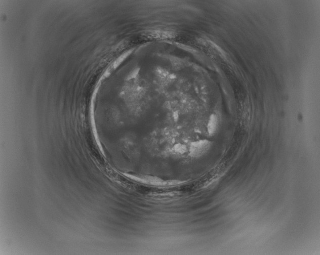 X0000077290553200611101345