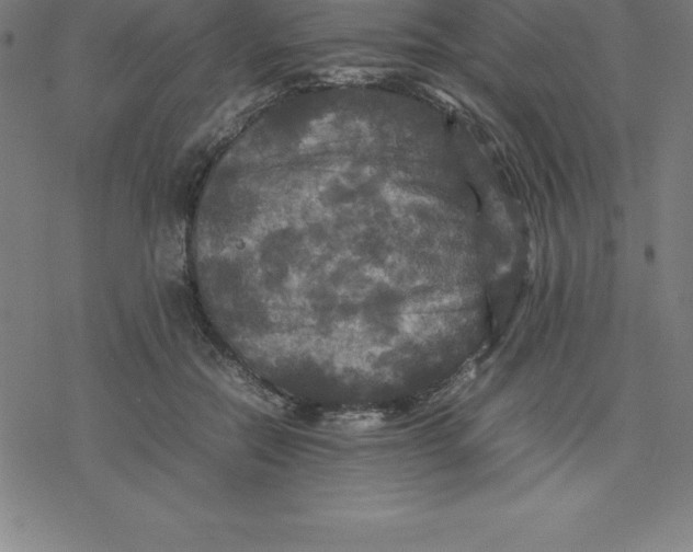 X0000077290554200611101345