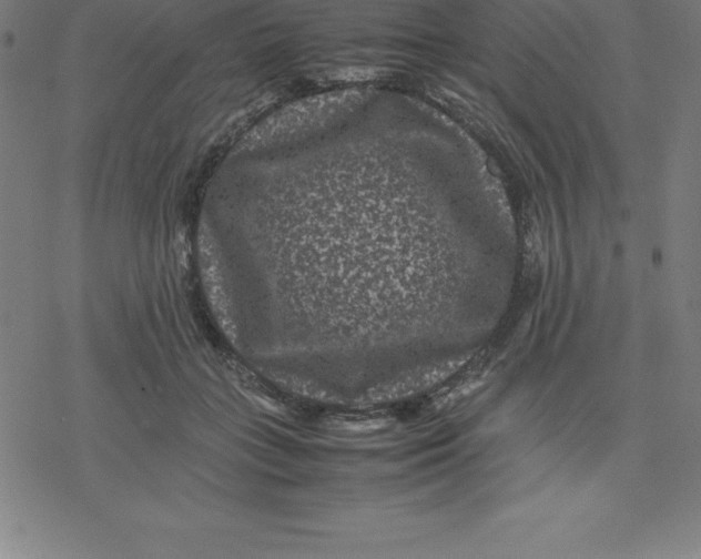 X0000077290555200611101345