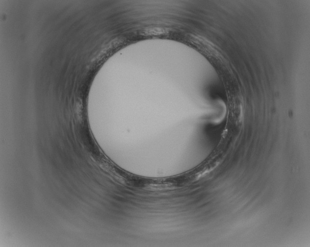 X0000077290556200611101345