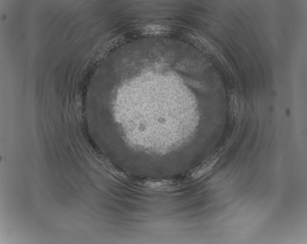 X0000077290557200611101345