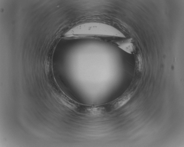 X0000077290558200611101345