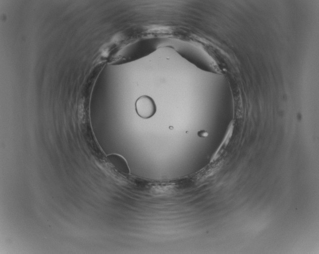 X0000077290560200611101346