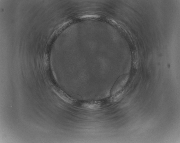 X0000077290563200611101346