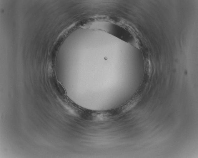 X0000077290564200611101346