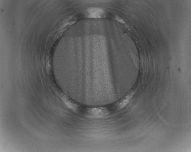 X0000077290566200611101346