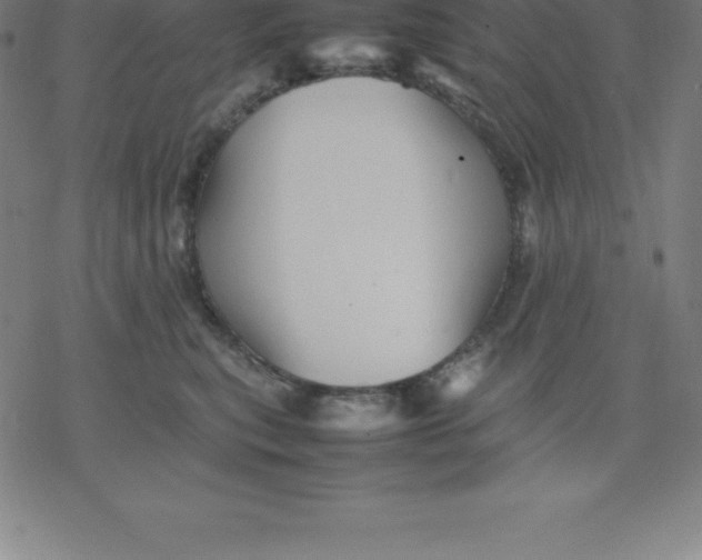 X0000077290567200611101346