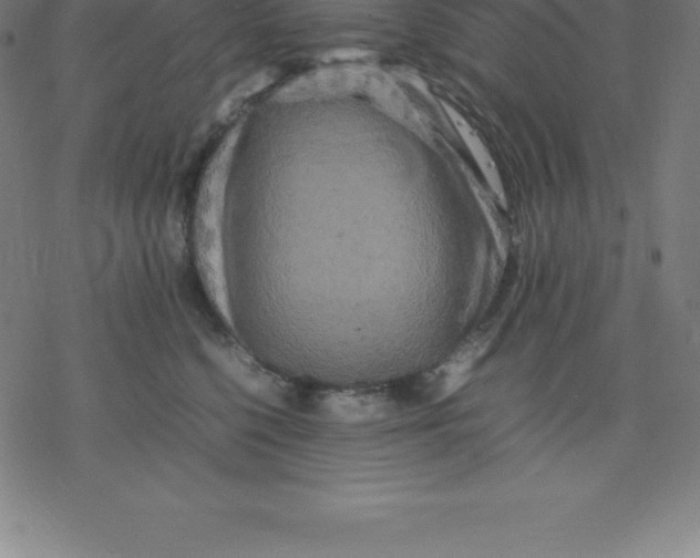 X0000077290568200611101346