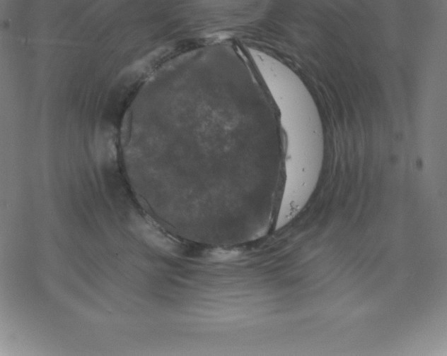 X0000077290570200611101346