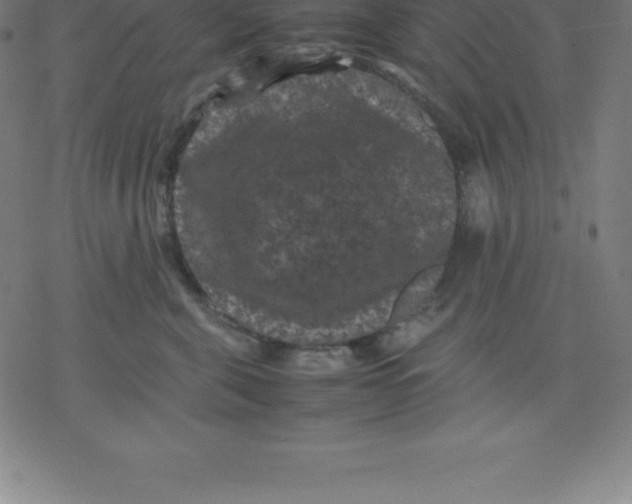 X0000077290571200611101346