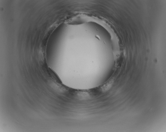 X0000077290572200611101346