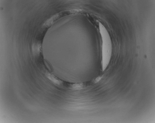 X0000077290574200611101346