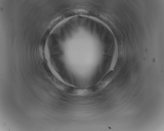 X0000077290575200611101346