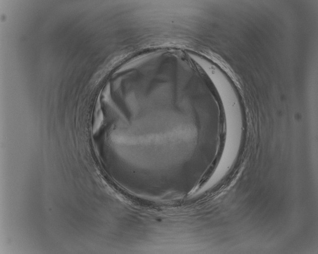 X0000077290577200611101345